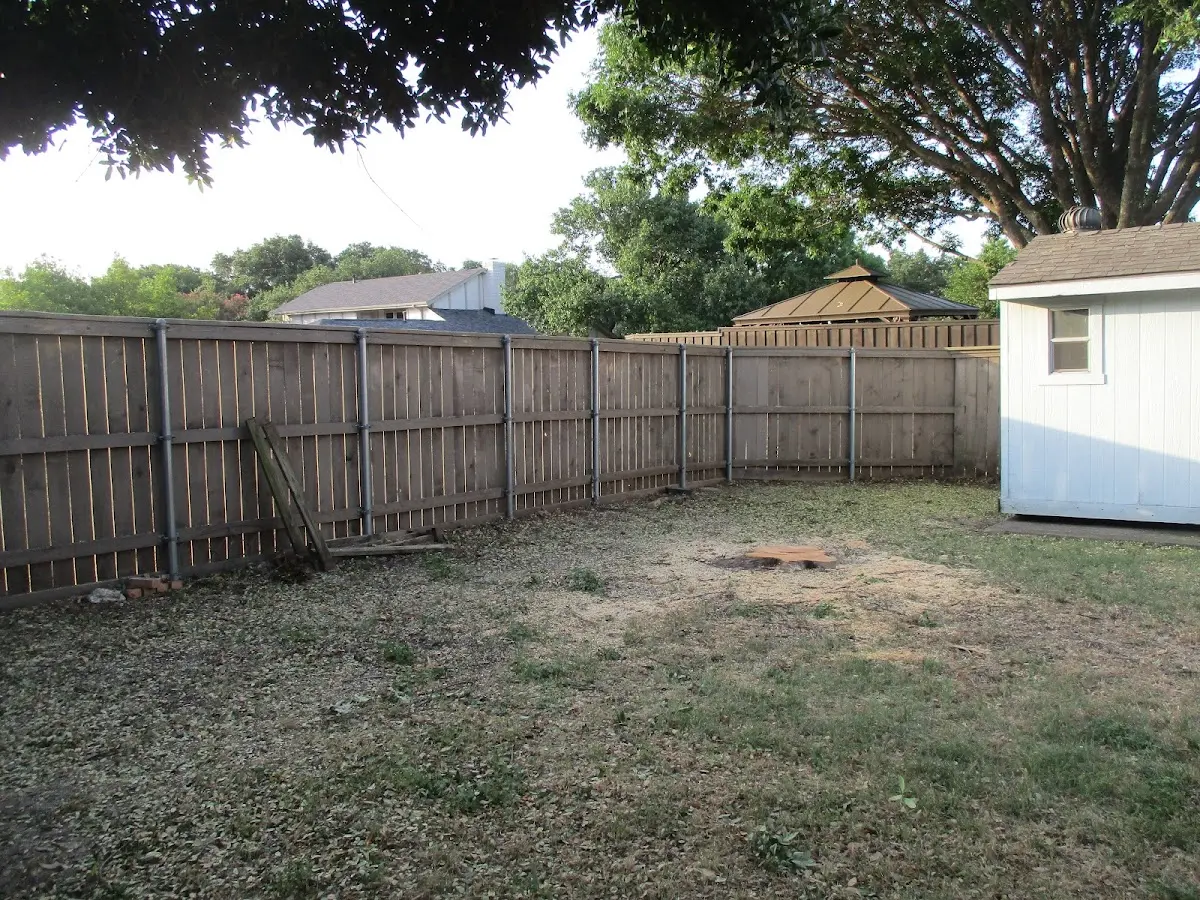 Cleared yard after professional tree removal in Norfolk