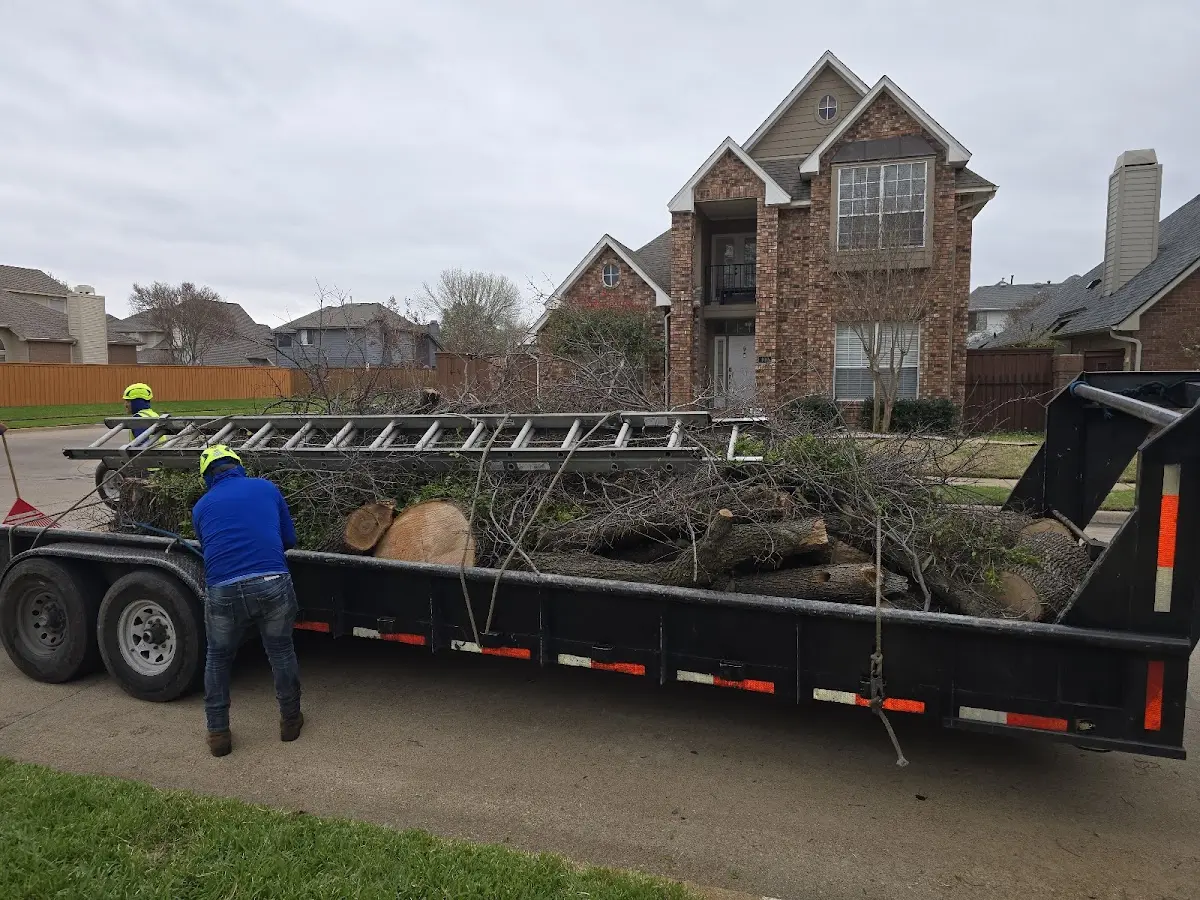 Expert Tree Pest Control with proper safety equipment in Norfolk